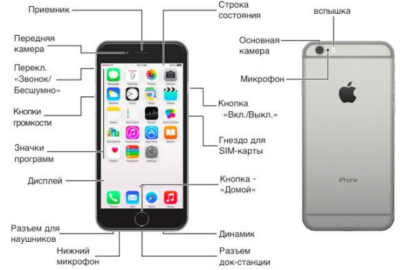 Можно ли пользоваться айфоном без apple id