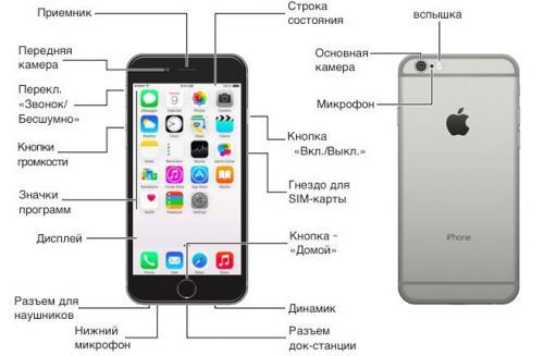 Руководство пользователя iphone 11 на русском языке скачать бесплатно без регистрации на русском